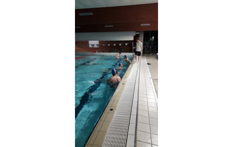 Natation Adultes Loisir